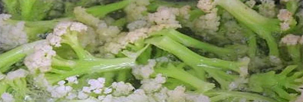 焯煮、油炸設(shè)備