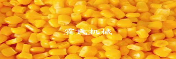 焯煮、油炸設(shè)備